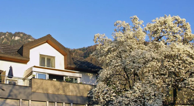 Chateau Schüpbach