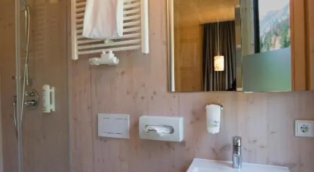 Номер Standard Alpenhotel Ammerwald