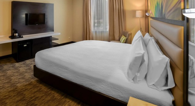 Hilton Garden Inn Guatemala City