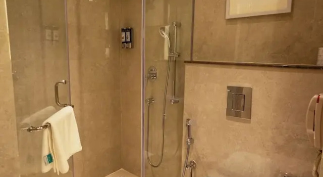 Номер Deluxe Golden Tulip Bhopal