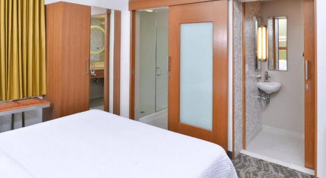 Студия Springhill Suites by Marriott Detroit Metro Airport Romulus