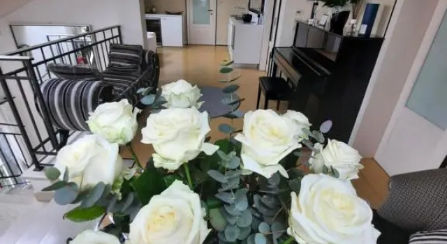 Terraglio Rooms