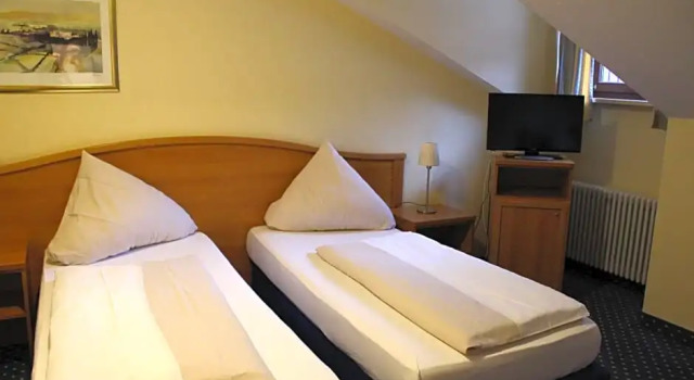 Трёхместный номер Standard Euro Park Hotel International