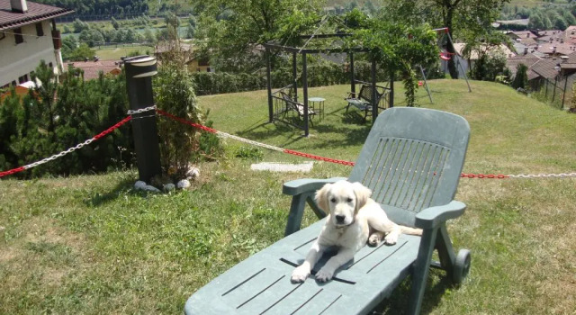Номер Standard B&B Rendena Chalet
