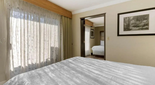 Семейный люкс Best Western Plus Forest Park Inn