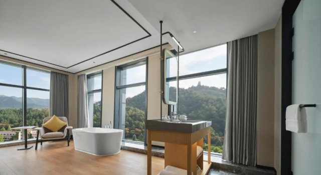Номер Deluxe Hilton Garden Inn Huzhou Anji Phoenix Mountain