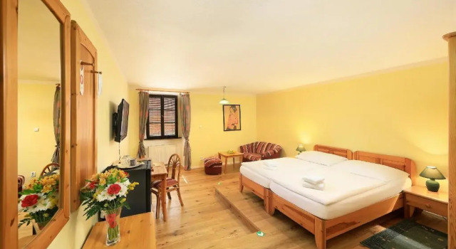 Двухместный номер Standard Hotel Zlaty Andel