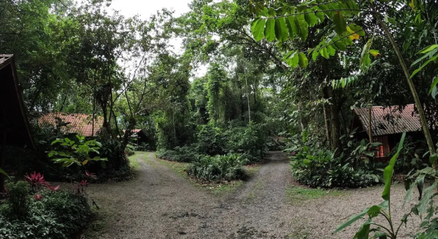 Трёхместное бунгало Arenal Oasis Eco Lodge & Wildlife Refuge