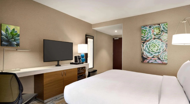 Двухместный номер Mobility Accessible Hilton Garden Inn New York Times Square South