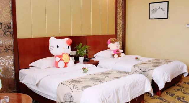 Номер Premium Xing Xin Hotel