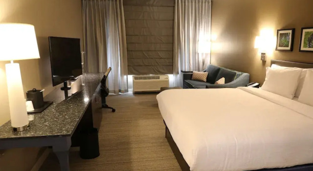 Двухместный номер с диваном-кроватью Deluxe Hilton Garden Inn Austin Airport