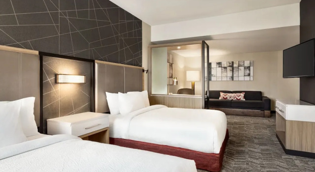 Люкс SpringHill Suites by Marriott Camp Hill