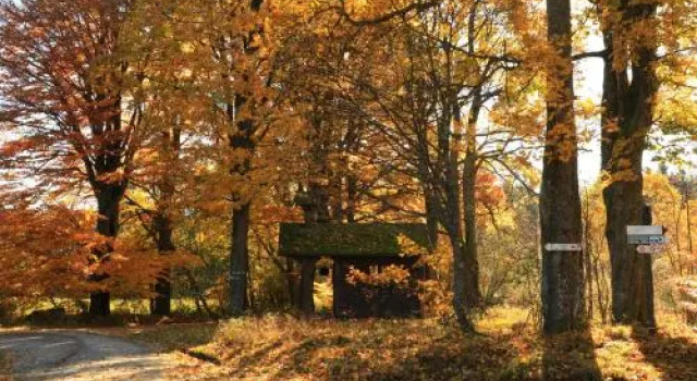 Paulas Bauernhof, Prenota Hotel Lindenau 