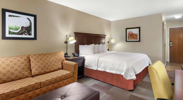 Номер Standard Hampton Inn Dallas Irving Las Colinas