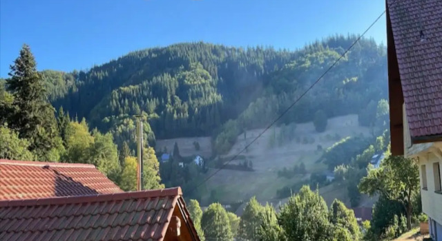 Апартаменты Ferienwohnung mit Weinbergblick