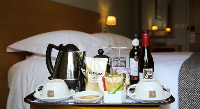 Двухместный номер Classic Harts Hotel