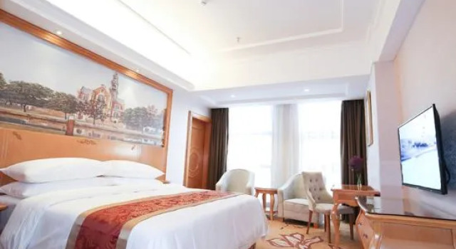 Люкс Deluxe Vienna Hotel (Xinning Langshan)