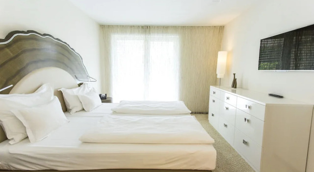 Двухместный номер Standard с балконом Taome Feng Shui Stadthotel Breisgau