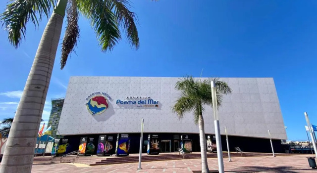 Apartamento beach house, Buchen Sie Ferienwohnung Las Palmas, Gran Canaria Gran Canaria