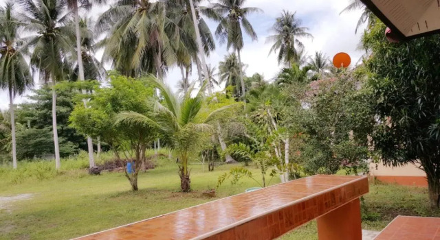 Бунгало Standard с балконом и с красивым видом из окна Happy Resort