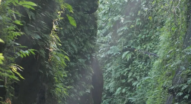 Люкс Pramana Giri Kusuma