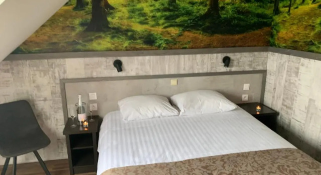 Номер Standard Hotel De Maaskant