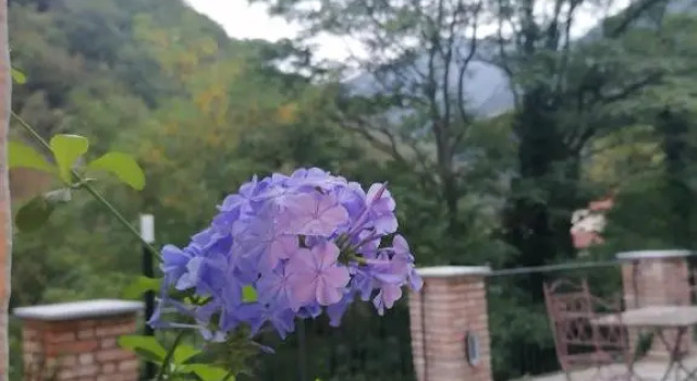 I TRE LADRONI, Reserva ahora Hotel Nasino Liguria