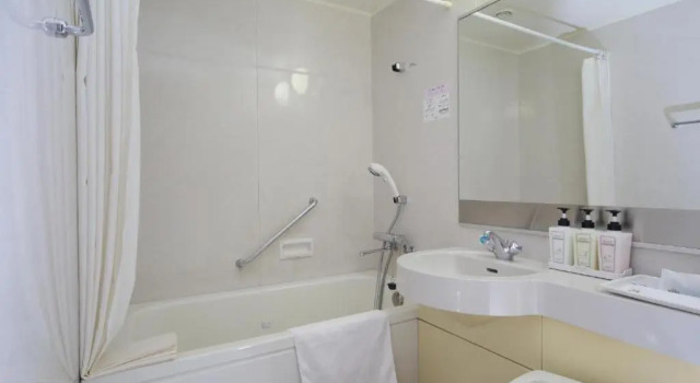 Одноместный номер Flooring Tokyo Bay Ariake Washington Hotel