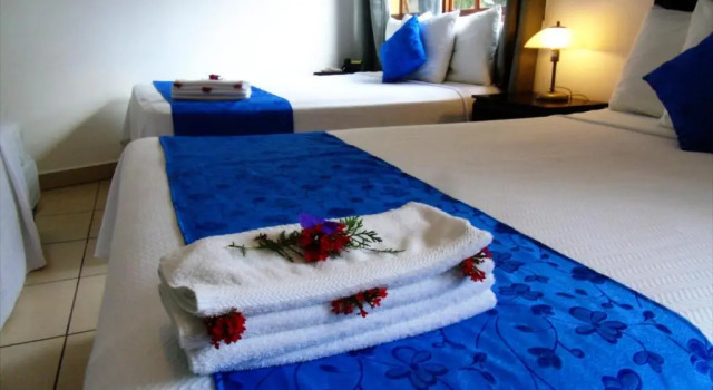 Номер Standard Hotel Los Pinos