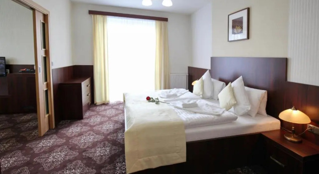 Люкс Deluxe Spa Hotel Diana