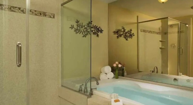 Люкс Luxury Silver Birches Resort
