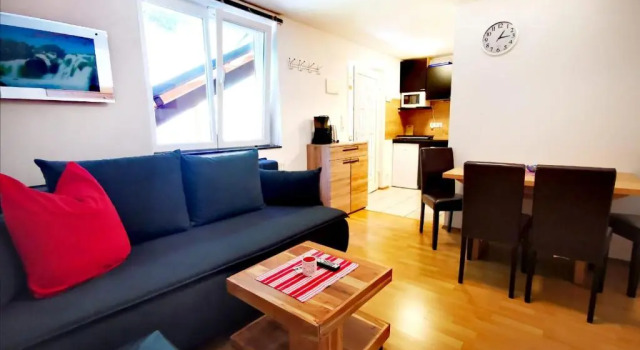 Апартаменты c 1 комнатой DD Apartments Zell am See