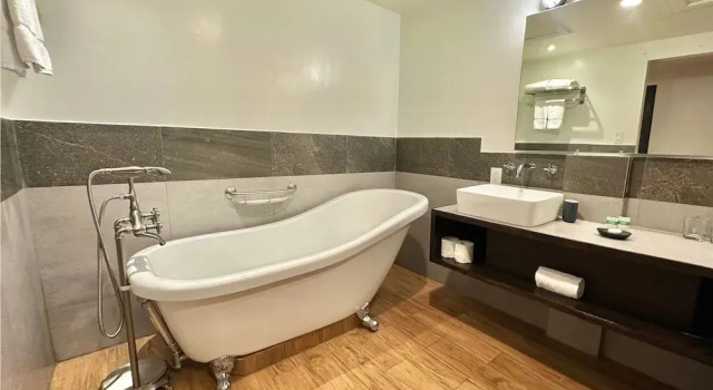 Deluxe værelse Palau Central Hotel
