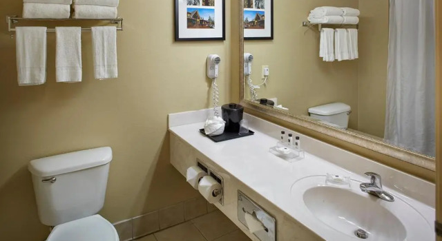 Номер Standard Country Inn & Suites by Radisson, Columbia Airport, SC