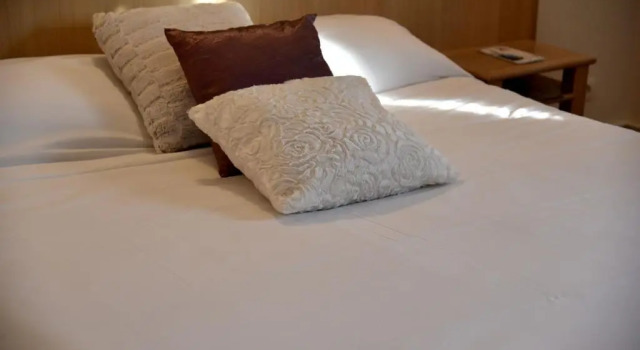 Одноместный номер Standard The Originals City, Hôtel Chantecler, Le Mans