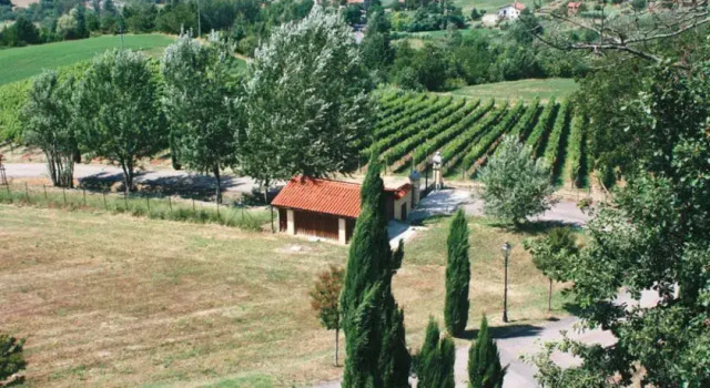 Casa Sophia, Prenota Appartamento Melazzo Monferrato