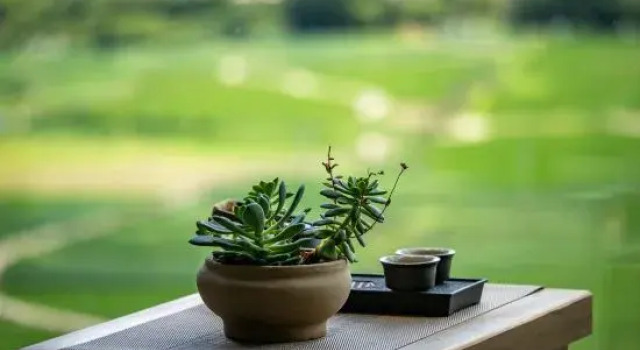 Shaxi Wangxi B&B, Prenota Bed & breakfast Hotel a Shaxi con parcheggio, Parcheggio