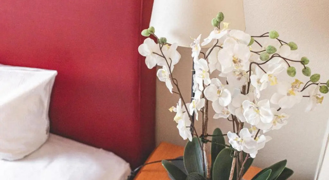 PLAZA INN Recklinghausen, Buchen Sie Hotel Recklinghausen Ruhrgebiet