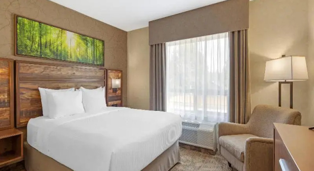 Люкс с 2 комнатами Best Western Plus Valemount Inn & Suites