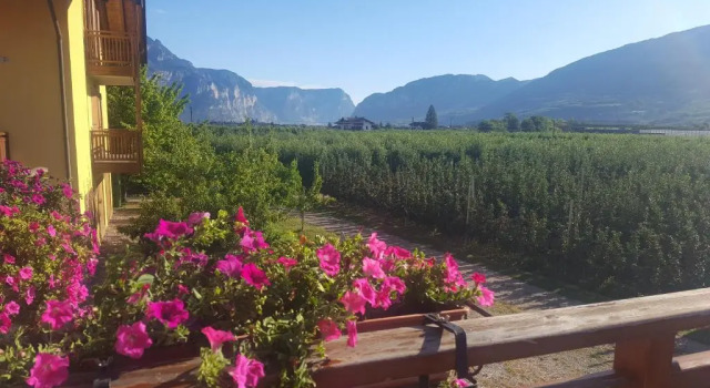 Agritur Clementi, Забронировать Отель Фай-делла-Паганелла Паганелла