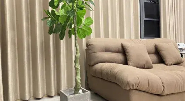 Люкс Deluxe Lianyungang Yujian Homestay