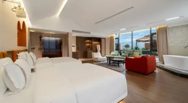 Люкс Zhenning Mantu Art Hotel