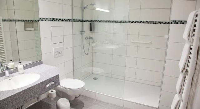 1 yatak odası Yönetici çift kişilik oda Hotel Kastanienhof