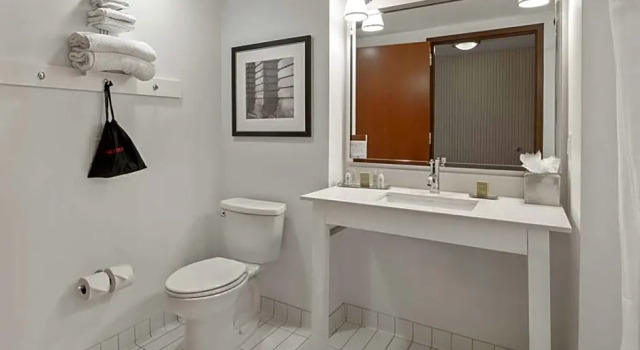 Люкс c 1 комнатой DoubleTree by Hilton Raleigh-Cary