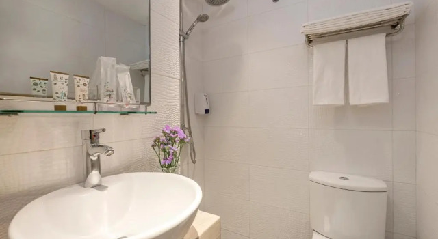 Трёхместный номер Standard Silka Far East Hotel