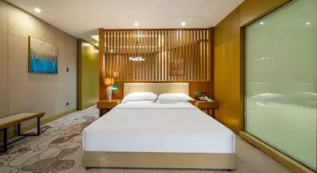 Люкс c 1 комнатой Poerson International Hotel