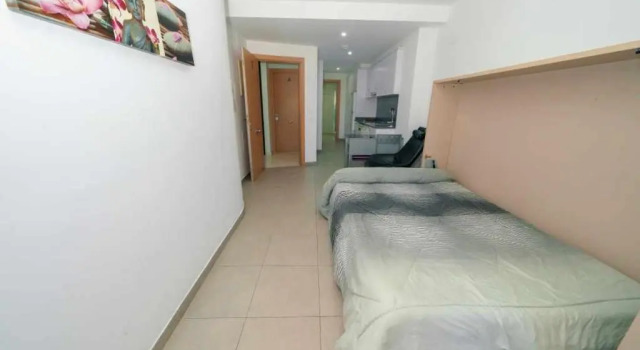 Студия Apartamentos Doctor Clara