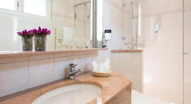 Двухместный номер Standard Hotel Albris