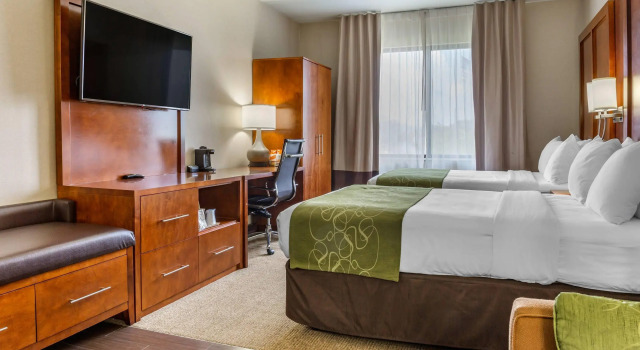 Четырёхместный люкс Comfort Suites Dover University Area