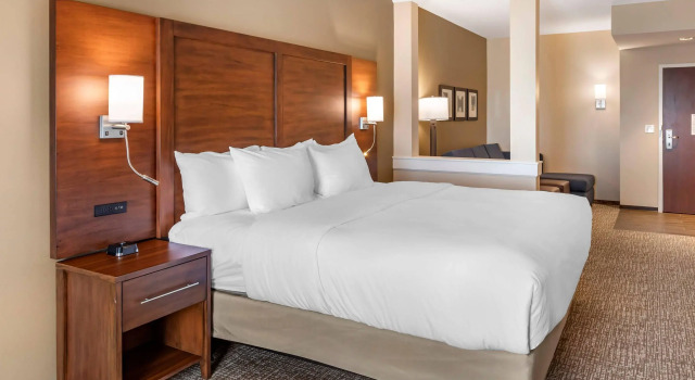 Двухместный люкс Comfort Inn & Suites Clarkston Pine Knob Area